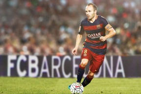 世界象形拳擂台挑战赛 南派北拳交锋 各家门派争奇斗艳